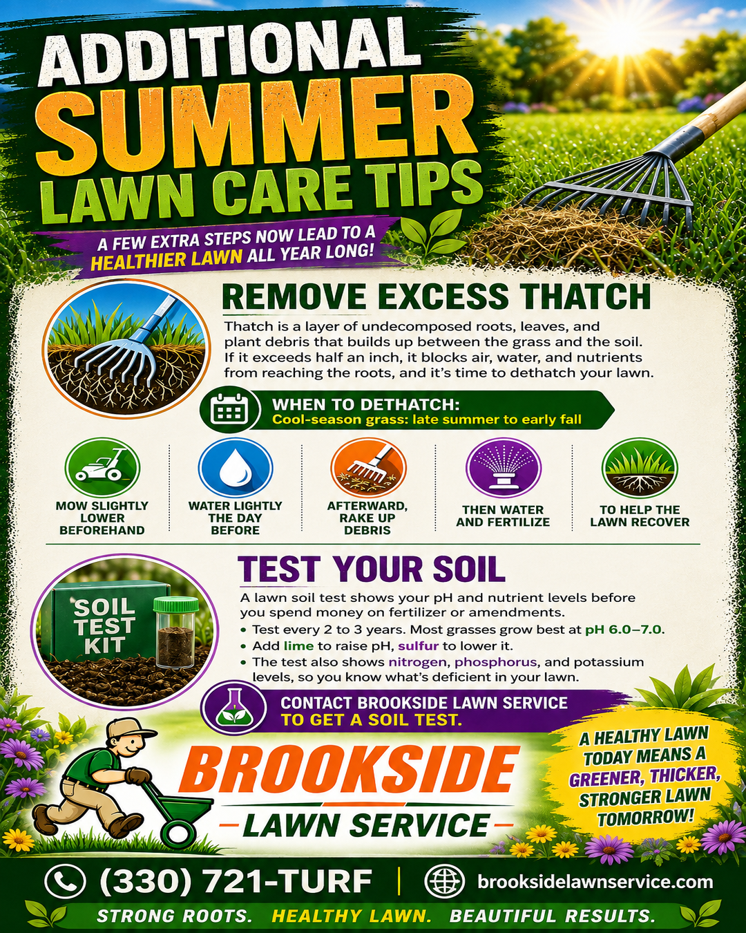 Additional Summer Lawn Care Tips — Brookside Lawn Service infographic