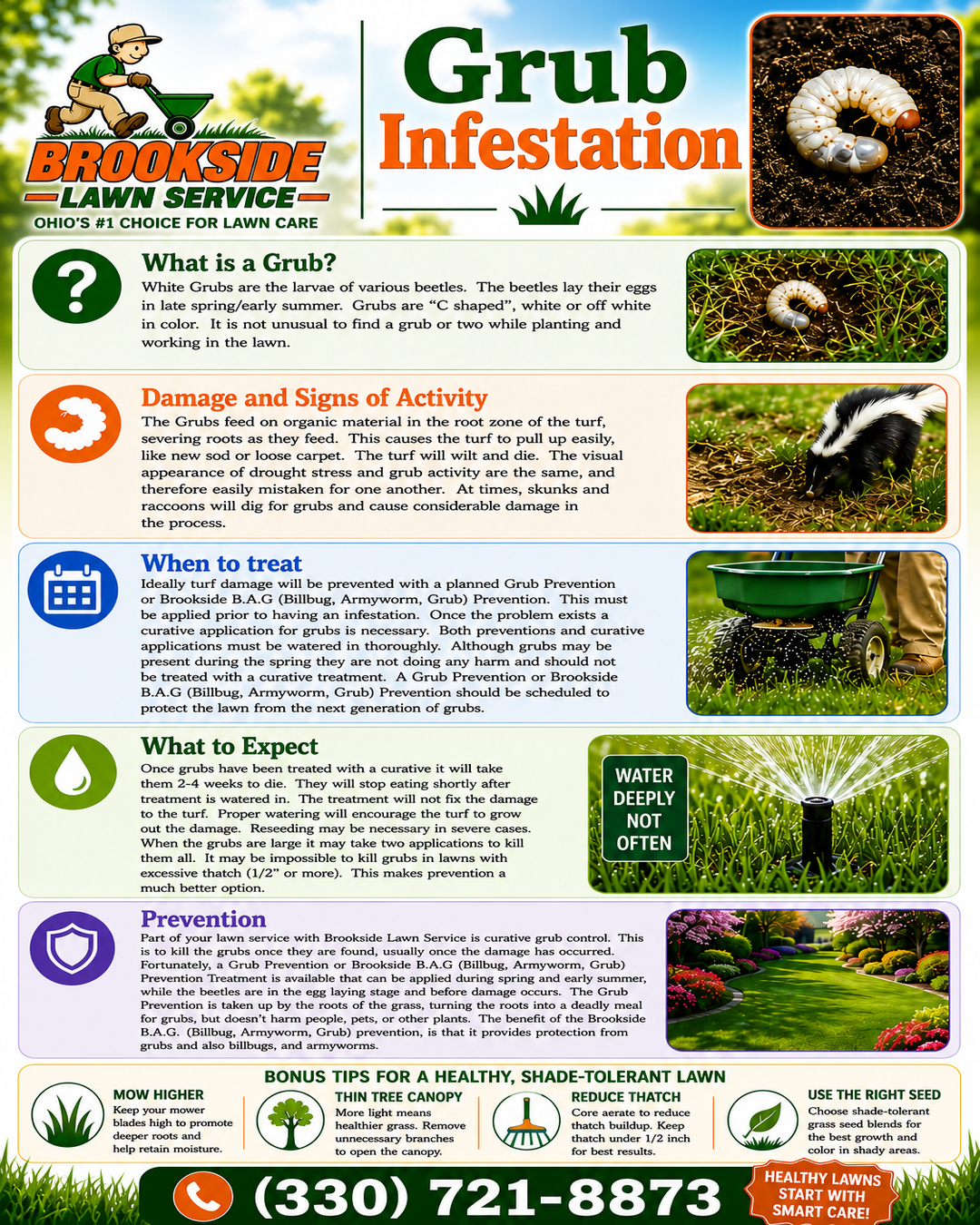 Grub Infestation — Brookside Lawn Service educational infographic on grub identification, damage, treatment, and prevention