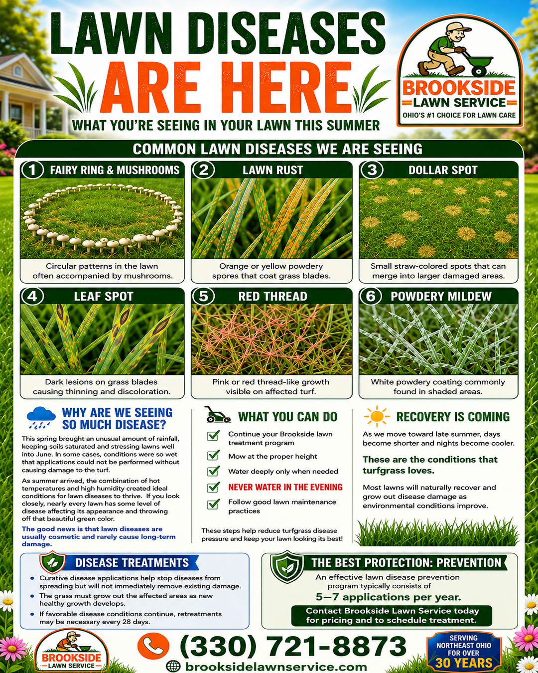 Lawn Diseases Are Here — Brookside Lawn Service infographic on common lawn diseases including fairy ring, lawn rust, dollar spot, leaf spot, red thread, and powdery mildew